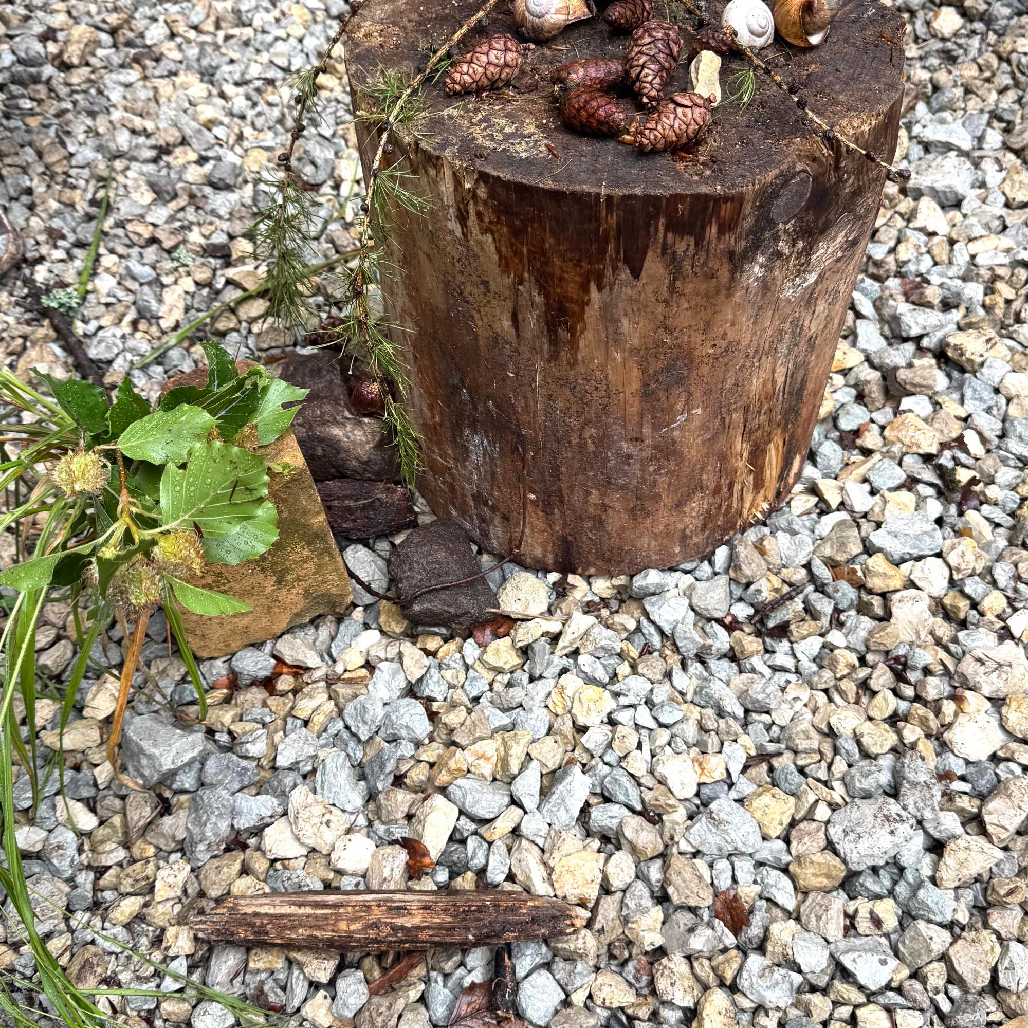 Waldwoche