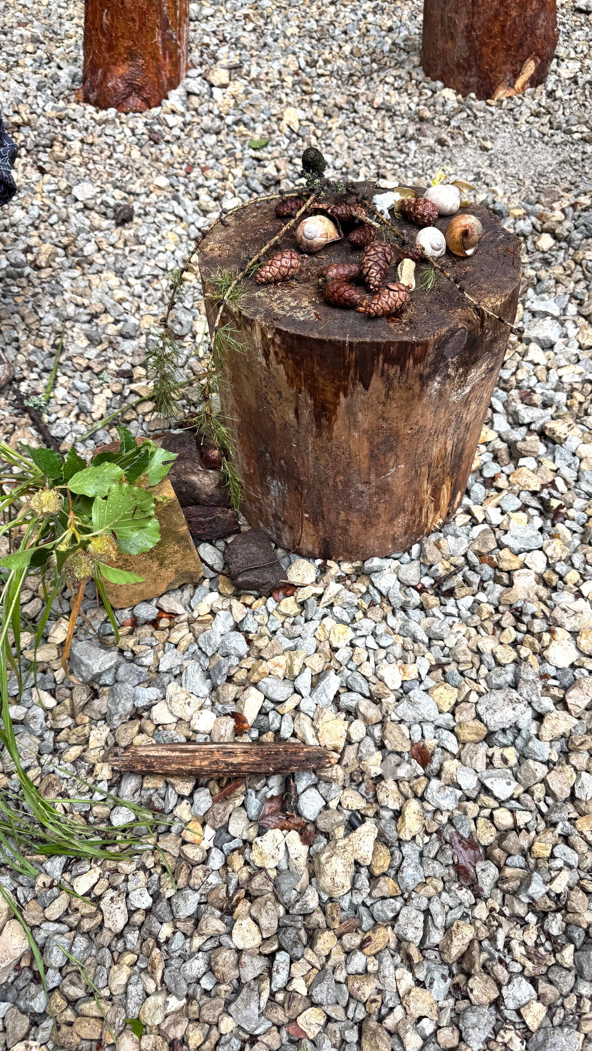 Waldwoche